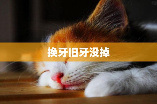 換牙舊牙沒掉