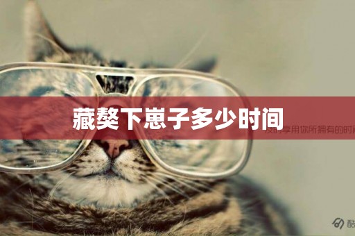 藏獒下崽子多少時間
