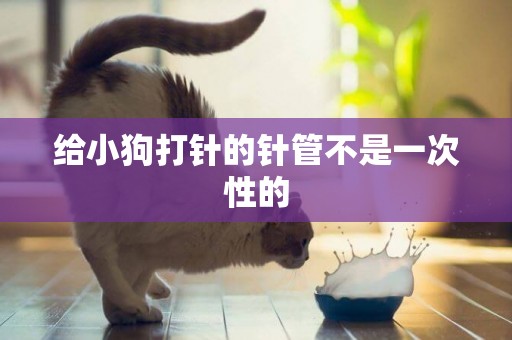 給小狗打針的針管不是一次性的