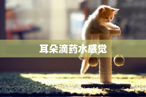 耳朵滴藥水感覺
