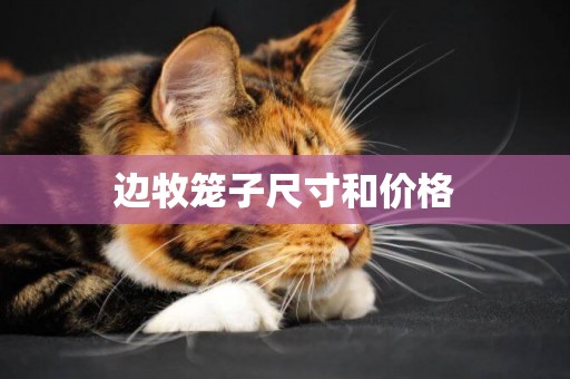 邊牧籠子尺寸和價格