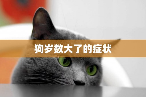 狗歲數大了的癥狀