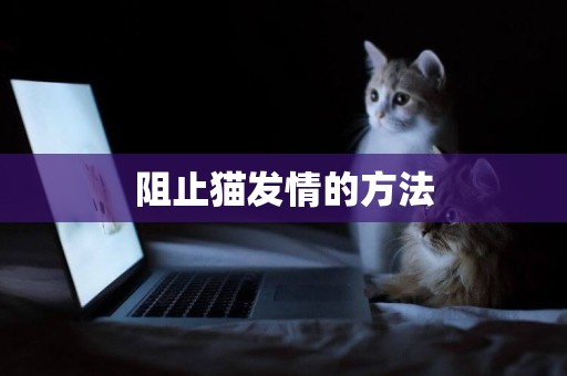 阻止貓發情的方法