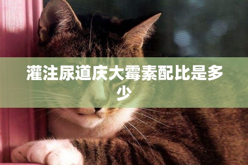 灌注尿道慶大霉素配比是多少