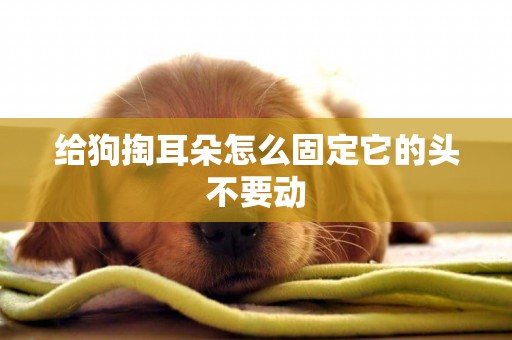 給狗掏耳朵怎么固定它的頭不要動