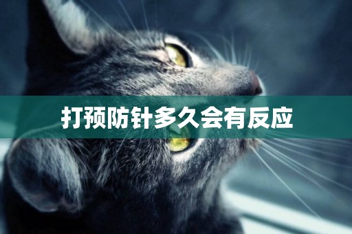打預防針多久會有反應