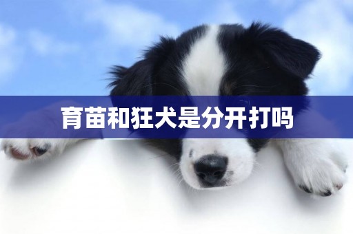 育苗和狂犬是分開打嗎