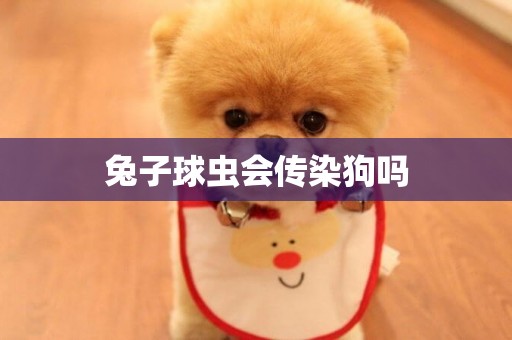 兔子球蟲會傳染狗嗎