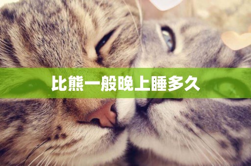 比熊一般晚上睡多久