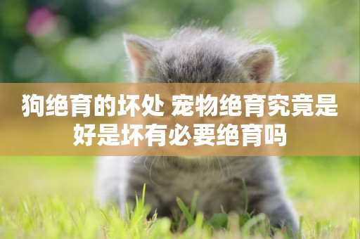 狗絕育的壞處 寵物絕育究竟是好是壞有必要絕育嗎
