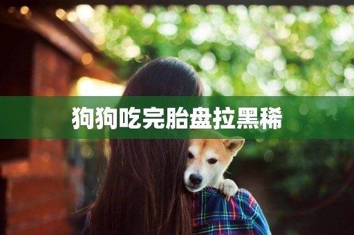 狗狗吃完胎盤拉黑稀