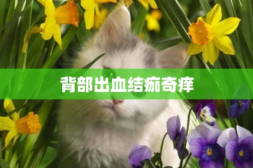 背部出血結痂奇癢