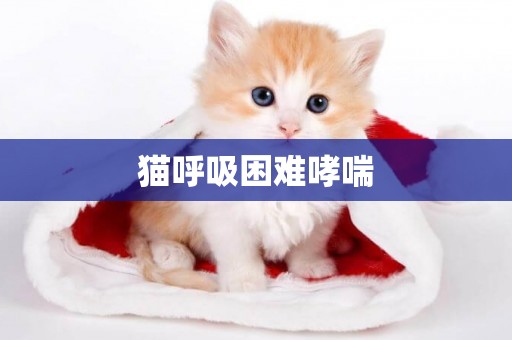 貓呼吸困難哮喘