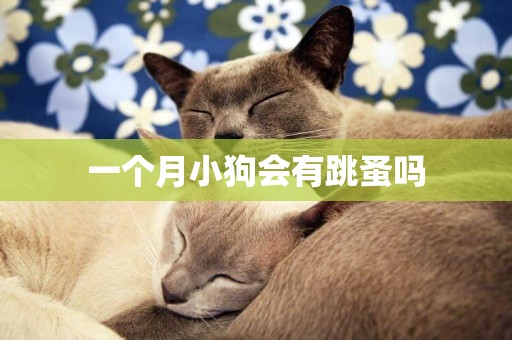 一個月小狗會有跳蚤嗎