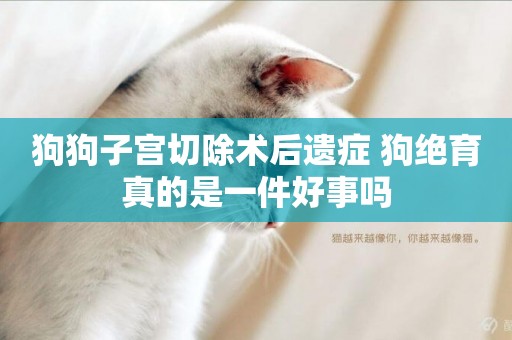 狗狗子宮切除術后遺癥 狗絕育真的是一件好事嗎