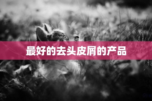 最好的去頭皮屑的產品