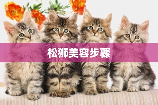 松獅美容步驟