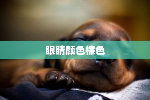 眼睛顏色棕色