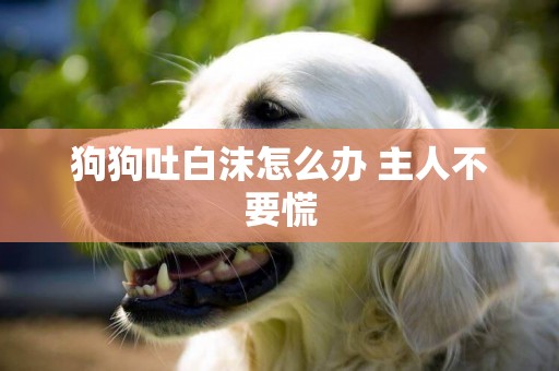 狗狗吐白沫怎么辦 主人不要慌