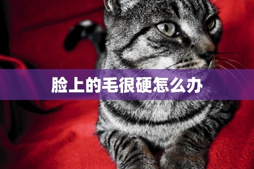 臉上的毛很硬怎么辦