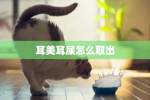 耳美耳屎怎么取出