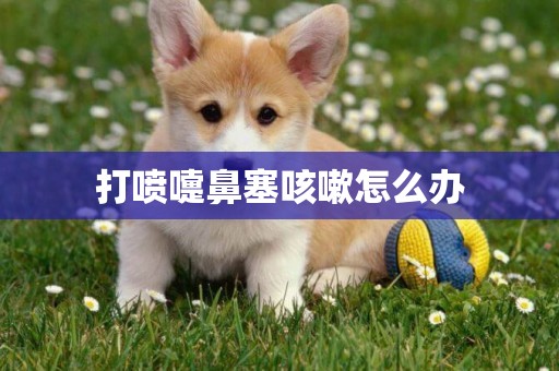 打噴嚏鼻塞咳嗽怎么辦