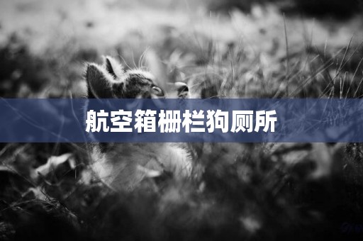 航空箱柵欄狗廁所
