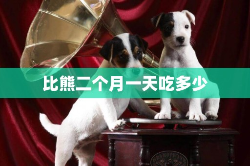 比熊二個月一天吃多少