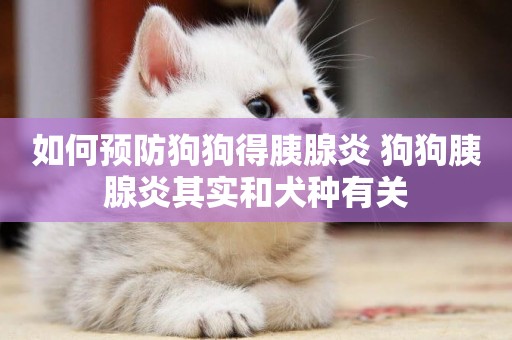 如何預防狗狗得胰腺炎 狗狗胰腺炎其實和犬種有關