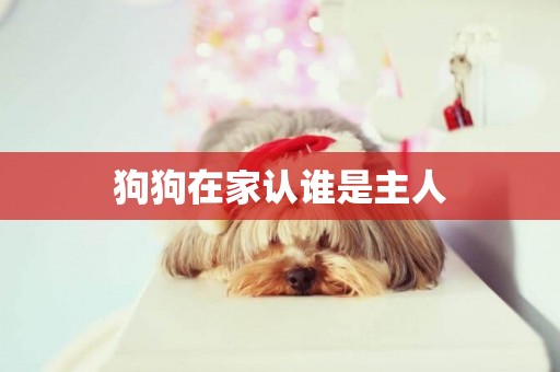 狗狗在家認誰是主人