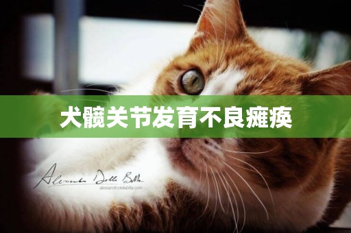 犬髖關節發育不良癱瘓