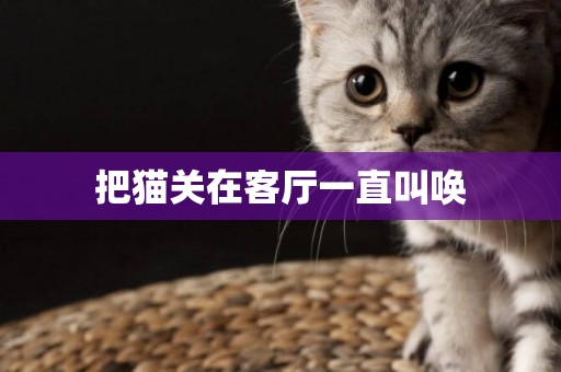 把貓關在客廳一直叫喚