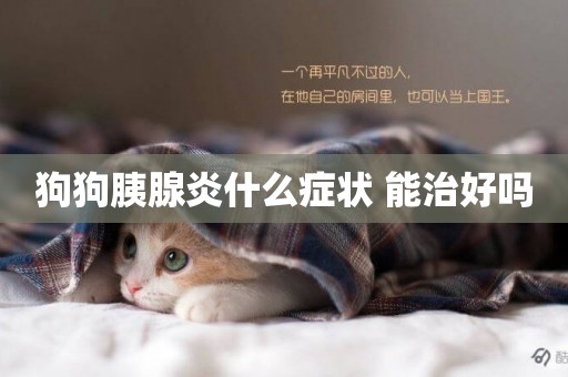 狗狗胰腺炎什么癥狀 能治好嗎