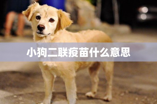 小狗二聯疫苗什么意思