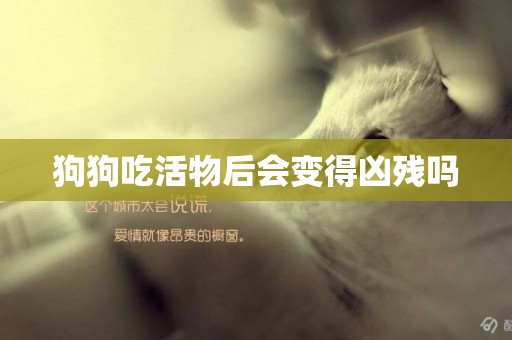 狗狗吃活物后會變得兇殘嗎