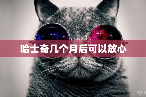 哈士奇幾個月后可以放心