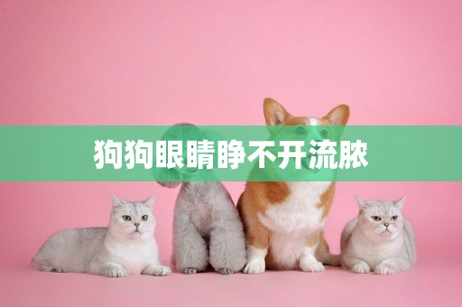 狗狗眼睛睜不開流膿