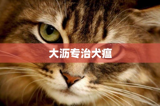 大瀝專治犬瘟