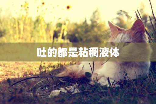 吐的都是粘稠液體