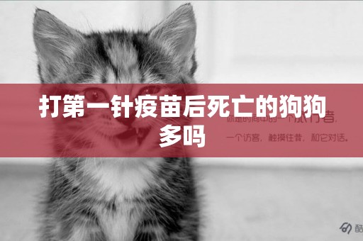 打第一針疫苗后死亡的狗狗多嗎