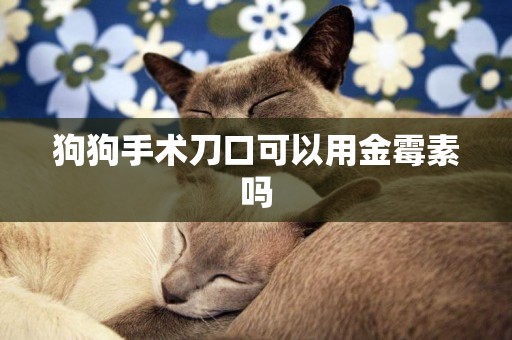 狗狗手術刀口可以用金霉素嗎