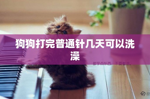 狗狗打完普通針幾天可以洗澡