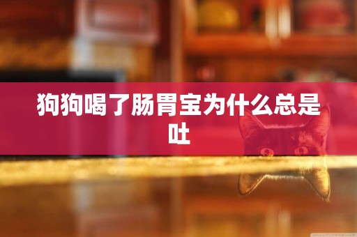 狗狗喝了腸胃寶為什么總是吐