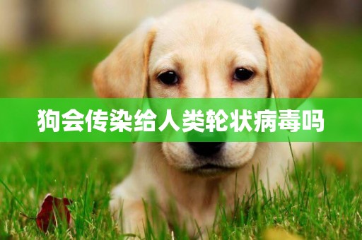 狗會傳染給人類輪狀病毒嗎