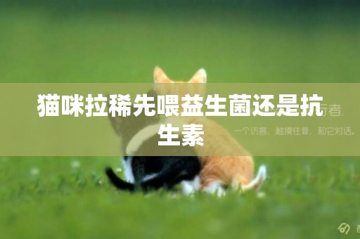 貓咪拉稀先喂益生菌還是抗生素