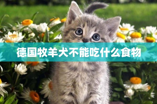 德國牧羊犬不能吃什么食物