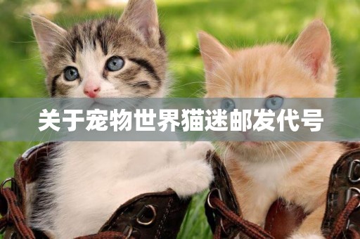 關于寵物世界貓迷郵發代號