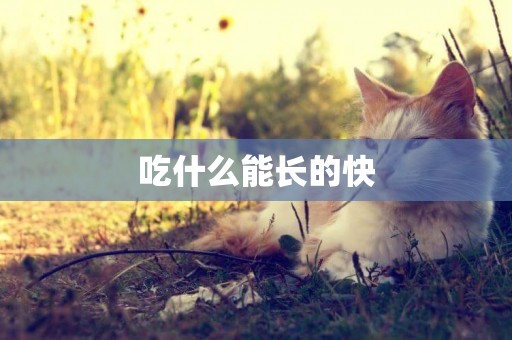吃什么能長的快