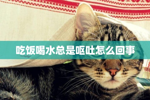 吃飯喝水總是嘔吐怎么回事