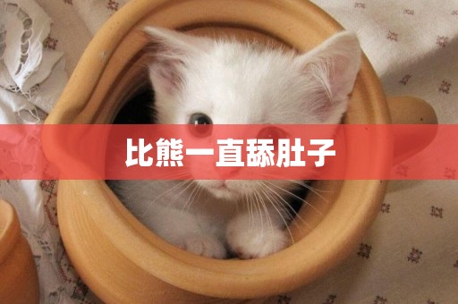 比熊一直舔肚子